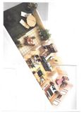 Photo n°2
