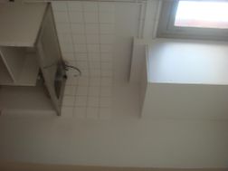 Photo n°4