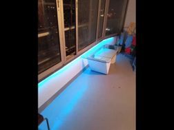 Photo n°4