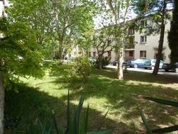 Photo n°1