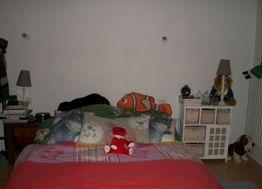 Photo n°7