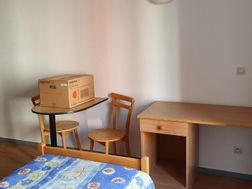 Photo n°4