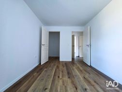 Photo n°6