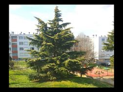 Photo n°3