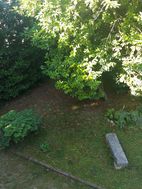 Photo n°6