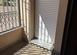 Photo n°6