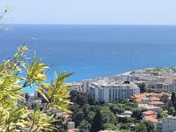 Photo n°3