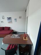 Photo n°6