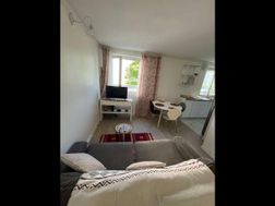 Photo n°2