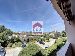Photo n°8