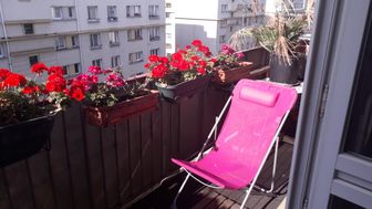 Photo n°6