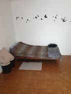 Photo n°2