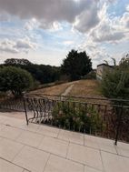 Photo n°1