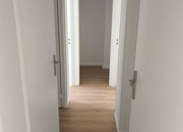 Photo n°6