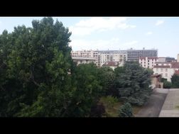 Photo n°6