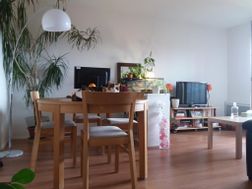 Photo n°4