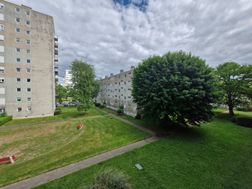 Photo n°2