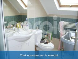 Photo n°7