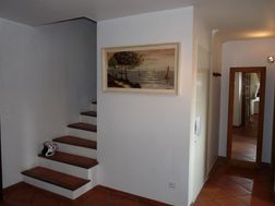 Photo n°4