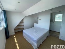 Photo n°5