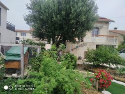 Photo n°6