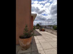 Photo n°3