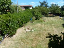 Photo n°2