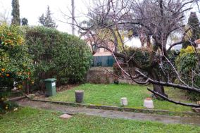 Photo n°2