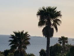 Photo n°3