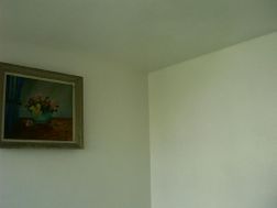 Photo n°1