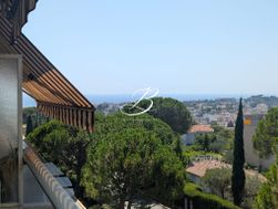 Photo n°2