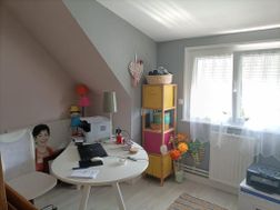 Photo n°4