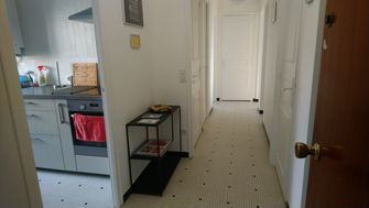Photo n°3