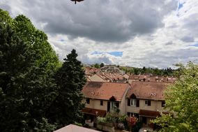 Photo n°8