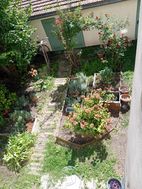 Photo n°5