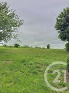 Photo n°4