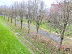 Photo n°8