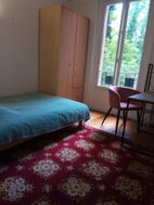 Photo n°4
