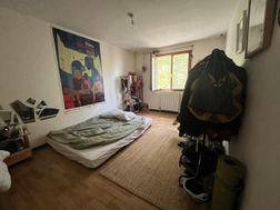 Photo n°6