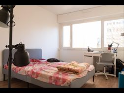Photo n°6