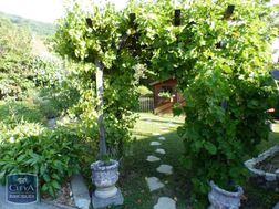 Photo n°6