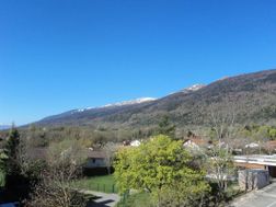 Photo n°5