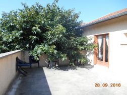 Photo n°2