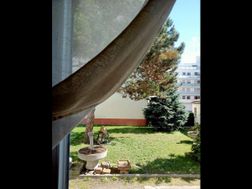 Photo n°2