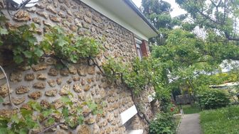 Photo n°8