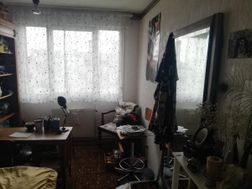 Photo n°7