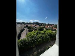 Photo n°15