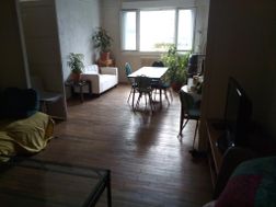 Photo n°3