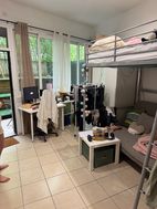 Photo n°5