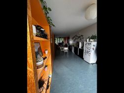 Photo n°6
